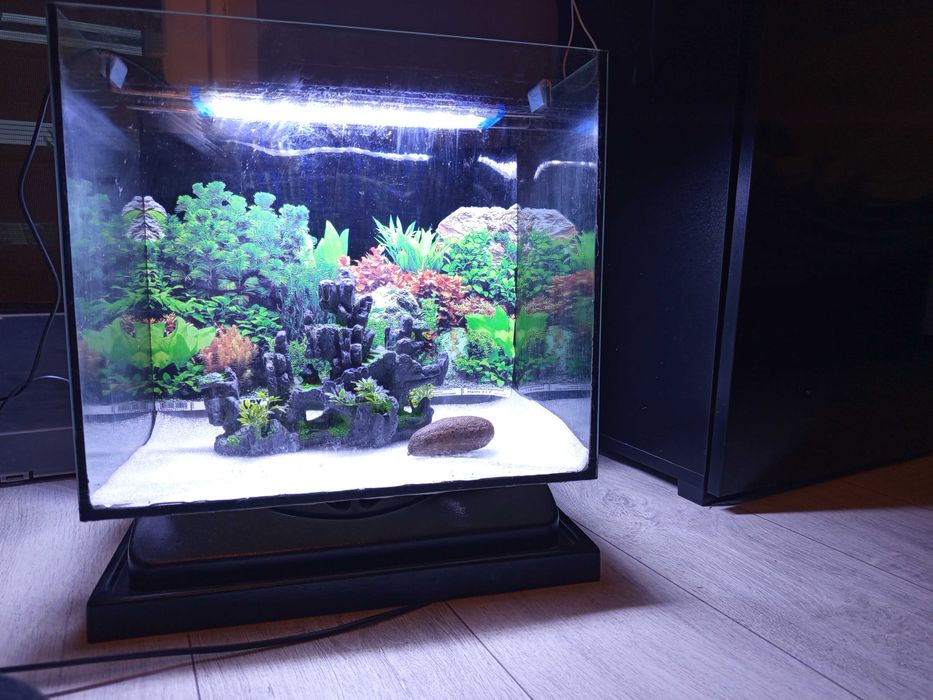 Akwarium mało używane