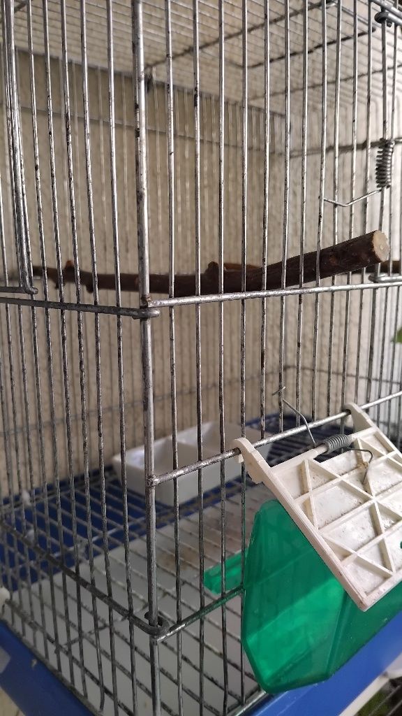 Gaiolas para aves