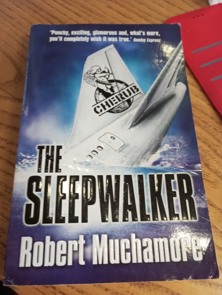 Книга the sleepwalker robert mushamore