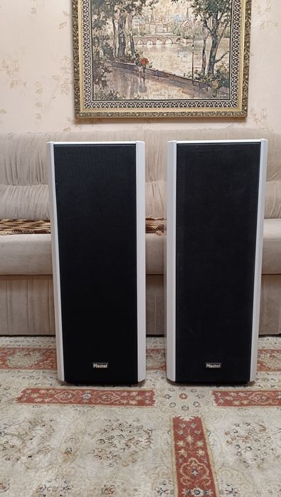 Колонки Magnat MSP 110 Hi END