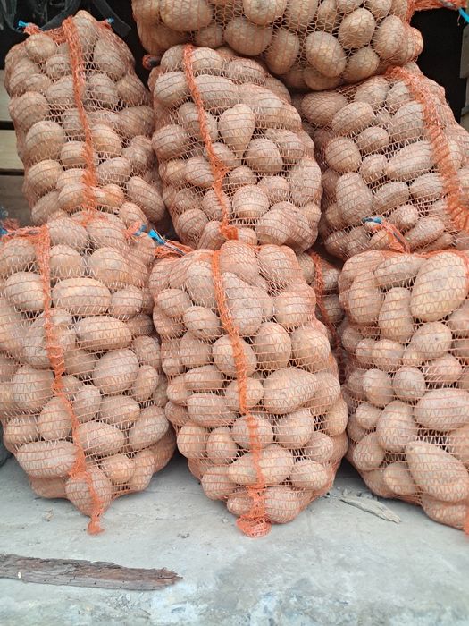 Sprzedam ziemniaki soraya