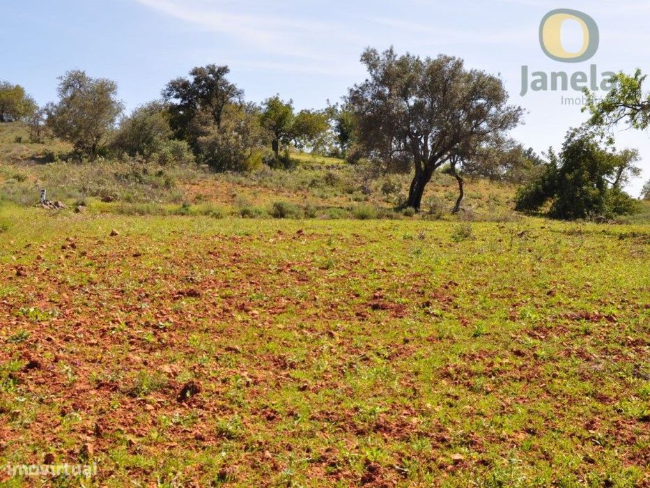 Terreno Rústico Venda Loulé