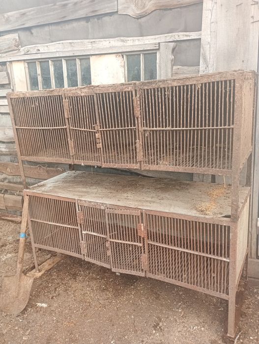 Клітки для нутрій та кролів