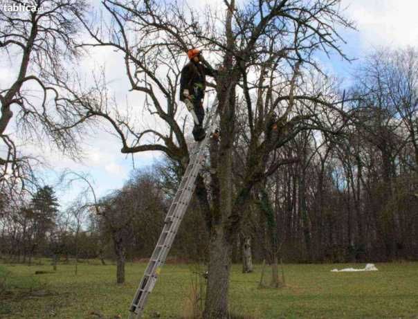 Przekopywanie ziemi działki pola Warszawa i okolice