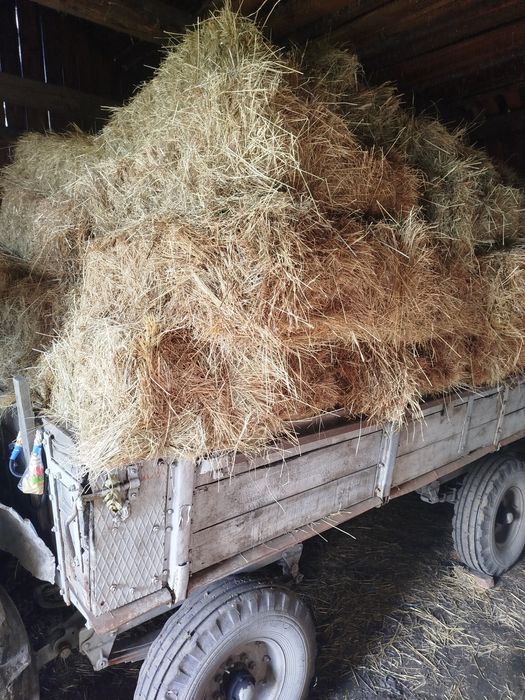 Продам сіно в тюках ціна за всі тюки вказана