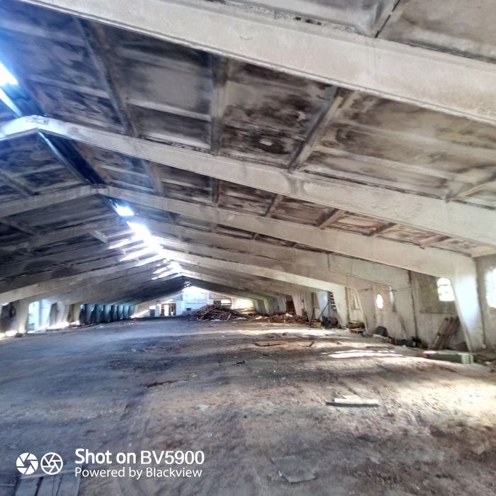 Клюшечник 21/95  шаг 4.5мет.