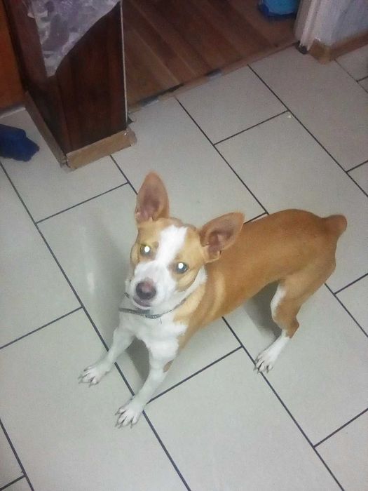 Oddam sunie mix w dobre ręce.