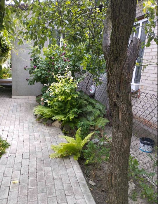 Здається  невеликий  будинок  Олександрівський район можна військовим