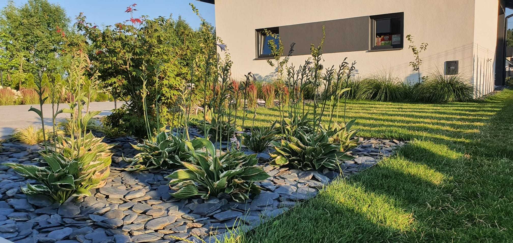 Usługi ogrodnicze. Projektowanie i wykonanie ogrodów ,sezonowa pielęgn