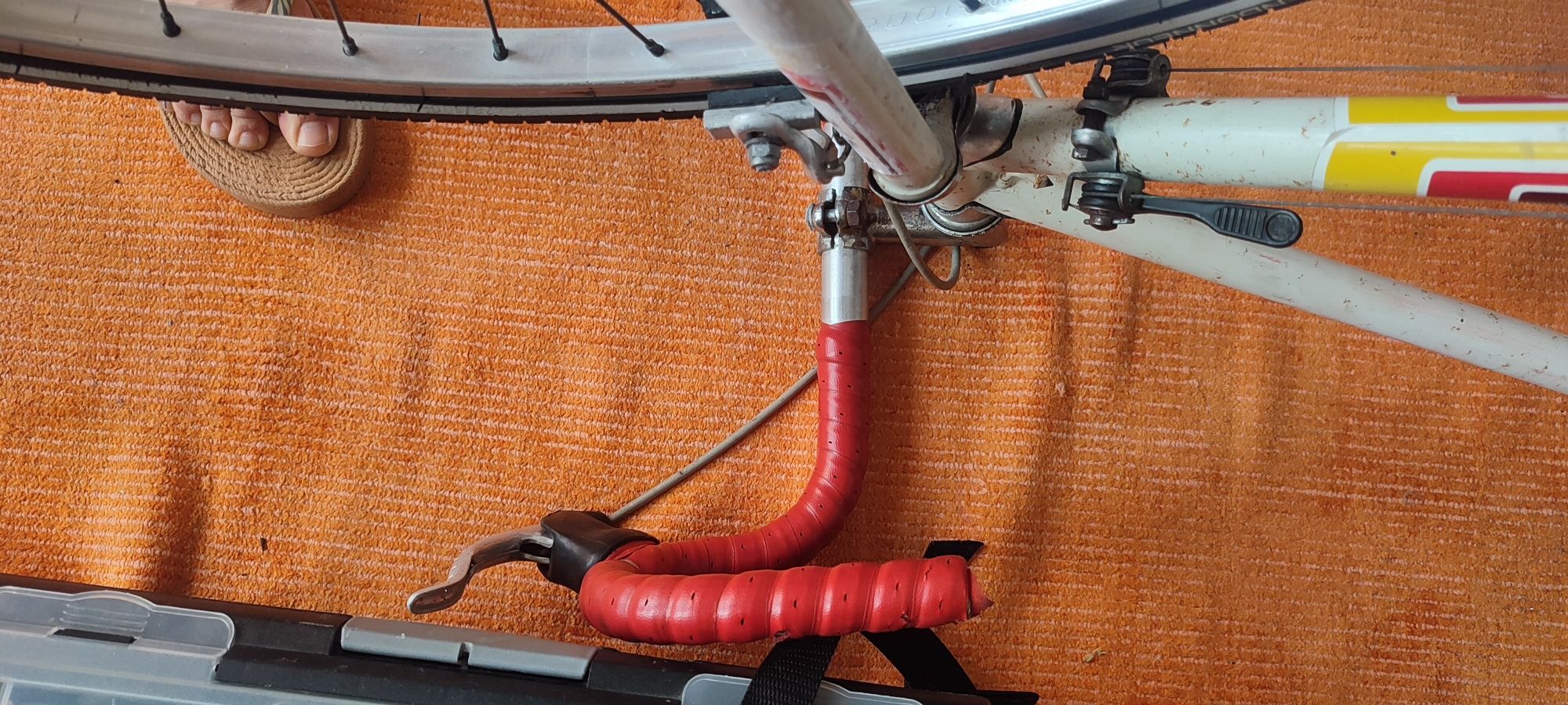 Bicicleta Aliforte clássica