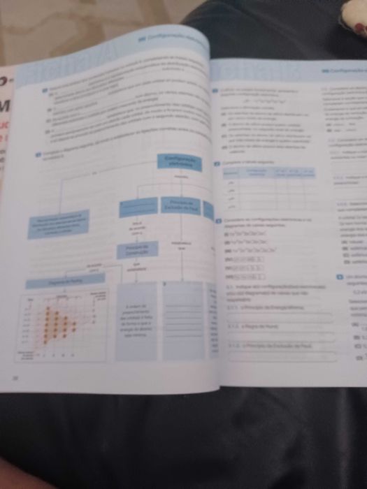Livro fichas 10° ano Química