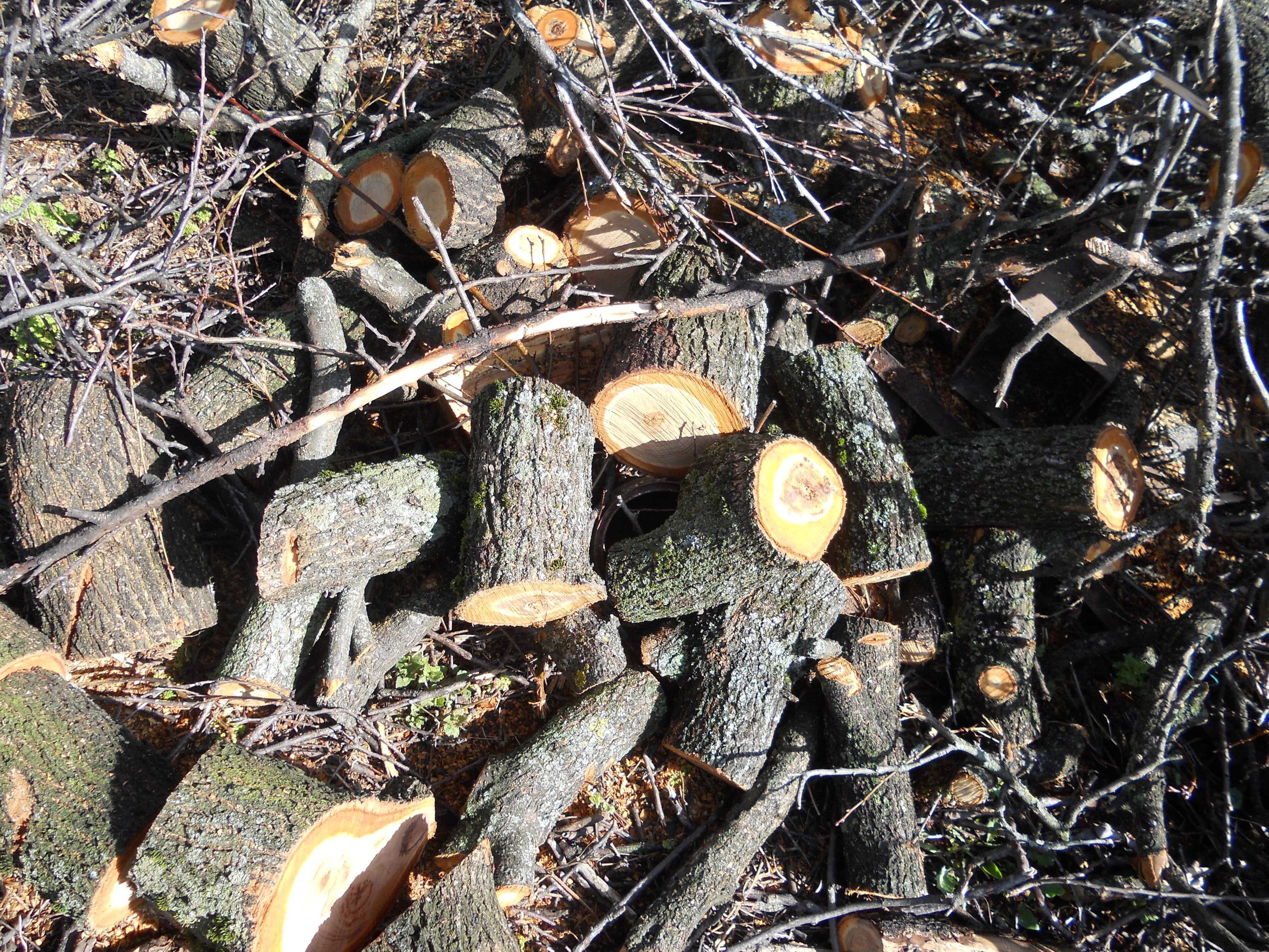 дрова з садових дерев