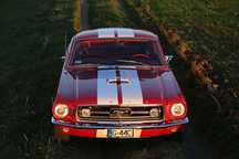 Ford Mustang Ford Mustang Fastback S-code Big Block
