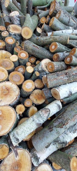 Drewno na opał