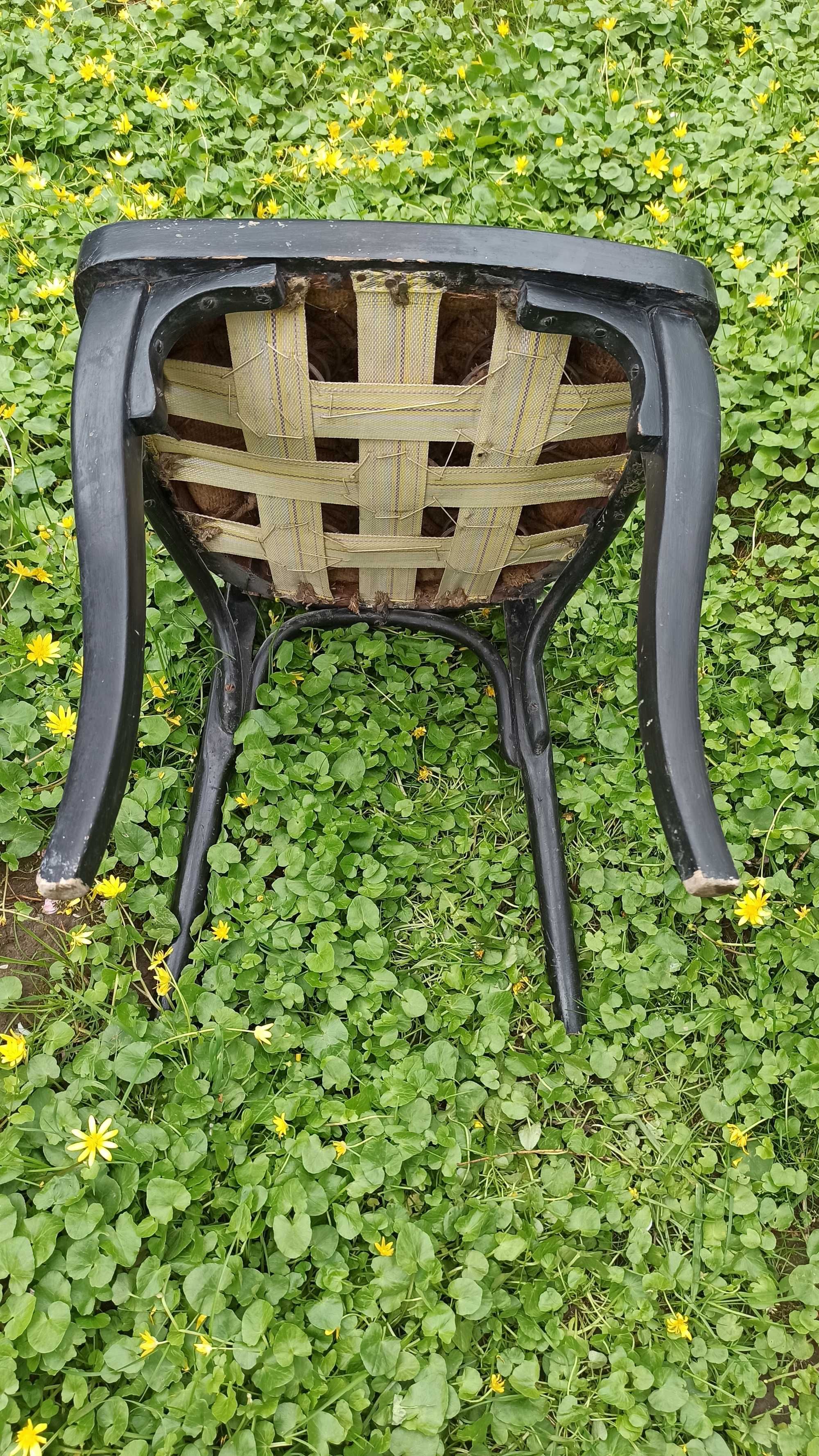 Krzesło Ludwik do renowacji