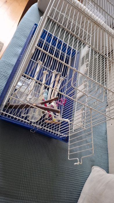 Gaiola pássaros em metal