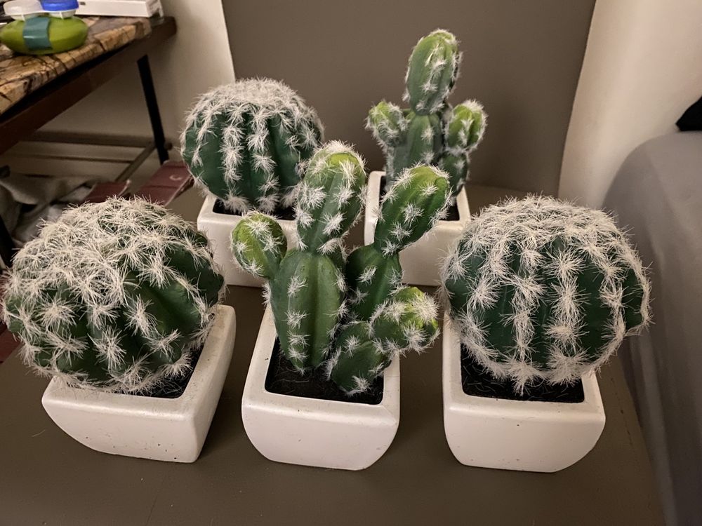 Realistyczny kaktus w doniczce