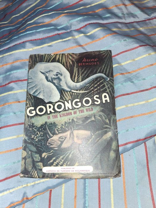 Gorongosa de Nuno Bermudes parque Moçambique