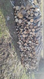 Drewno opałowe Grab Dab Brzoza
