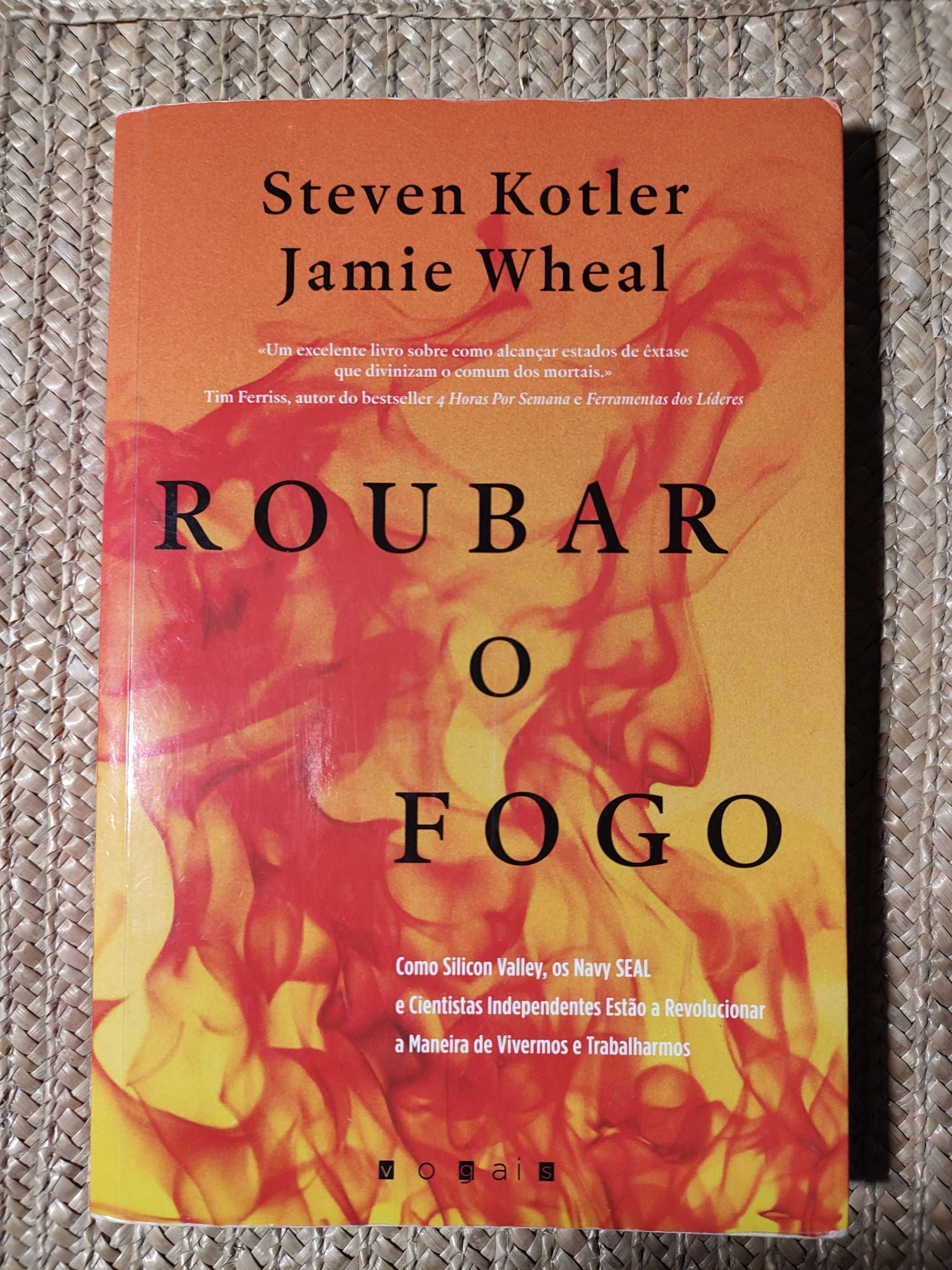 Livro Roubar o fogo