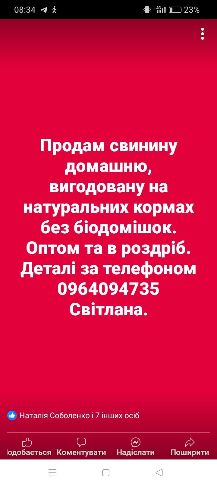 Свинина домашня натуральна без добавок