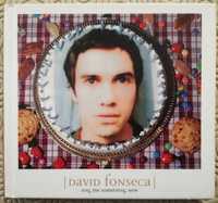 David Fonseca (álbum)