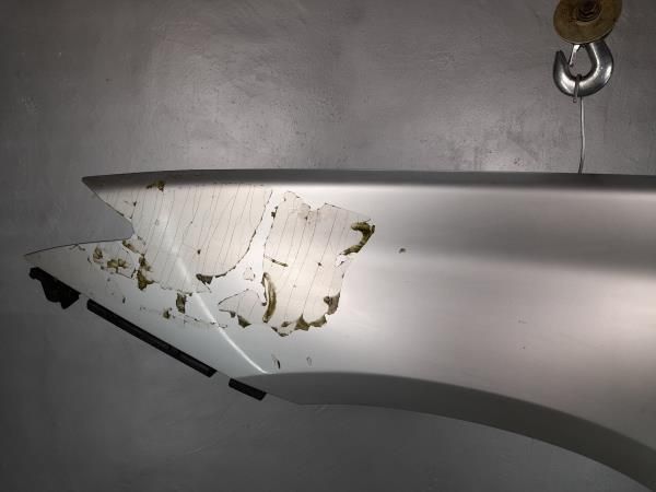 Guarda-lamas esquerdo RENAULT Laguna III (BT0/1)