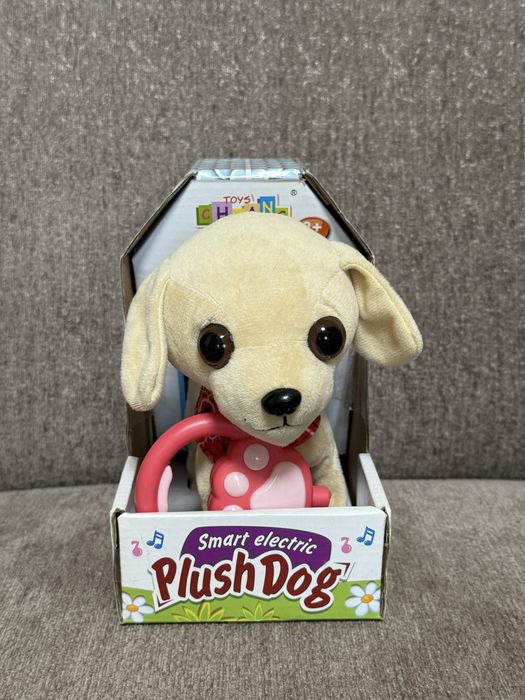 Песик на повідку