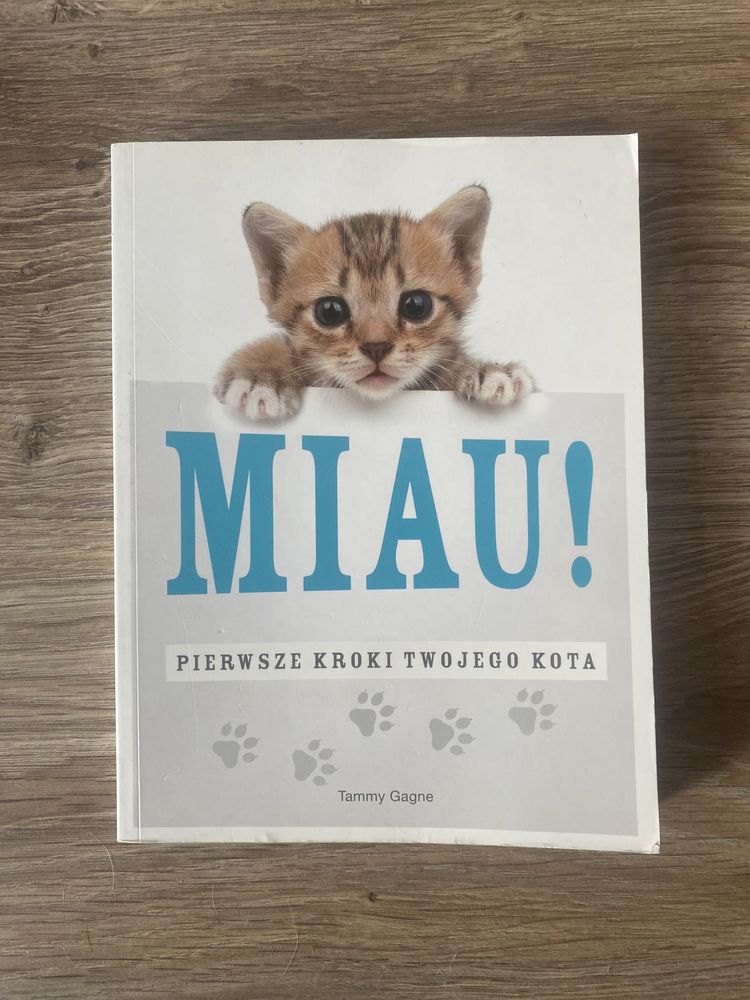 Miau! Pierwsze Kroki Twojego Kota