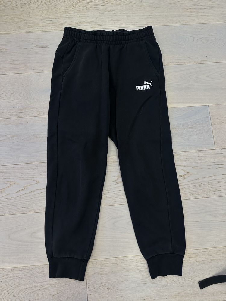 Штани Adidas Сірі