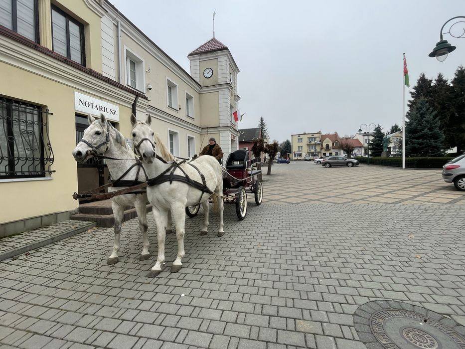 Walach malopolski zaprzeg