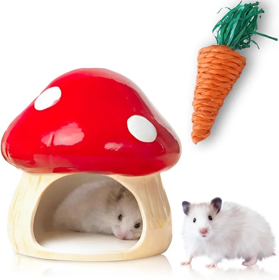 Casa de cerâmica hamster chinchila pequenos animais NOVO PORTES GRÁTIS