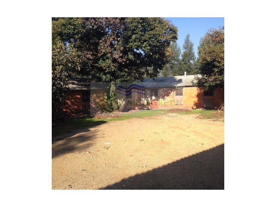 Aviário Pronto A Funcionar Em Sever Do Vouga