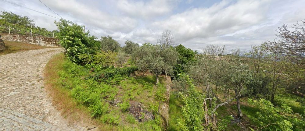 Quinta com 13.625 m² em Cepões - Lamego, junto à A24