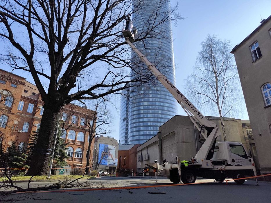 Wycinka pielęgnacja drzew ściąganie jemioły usuwanie posuszu podnośnik