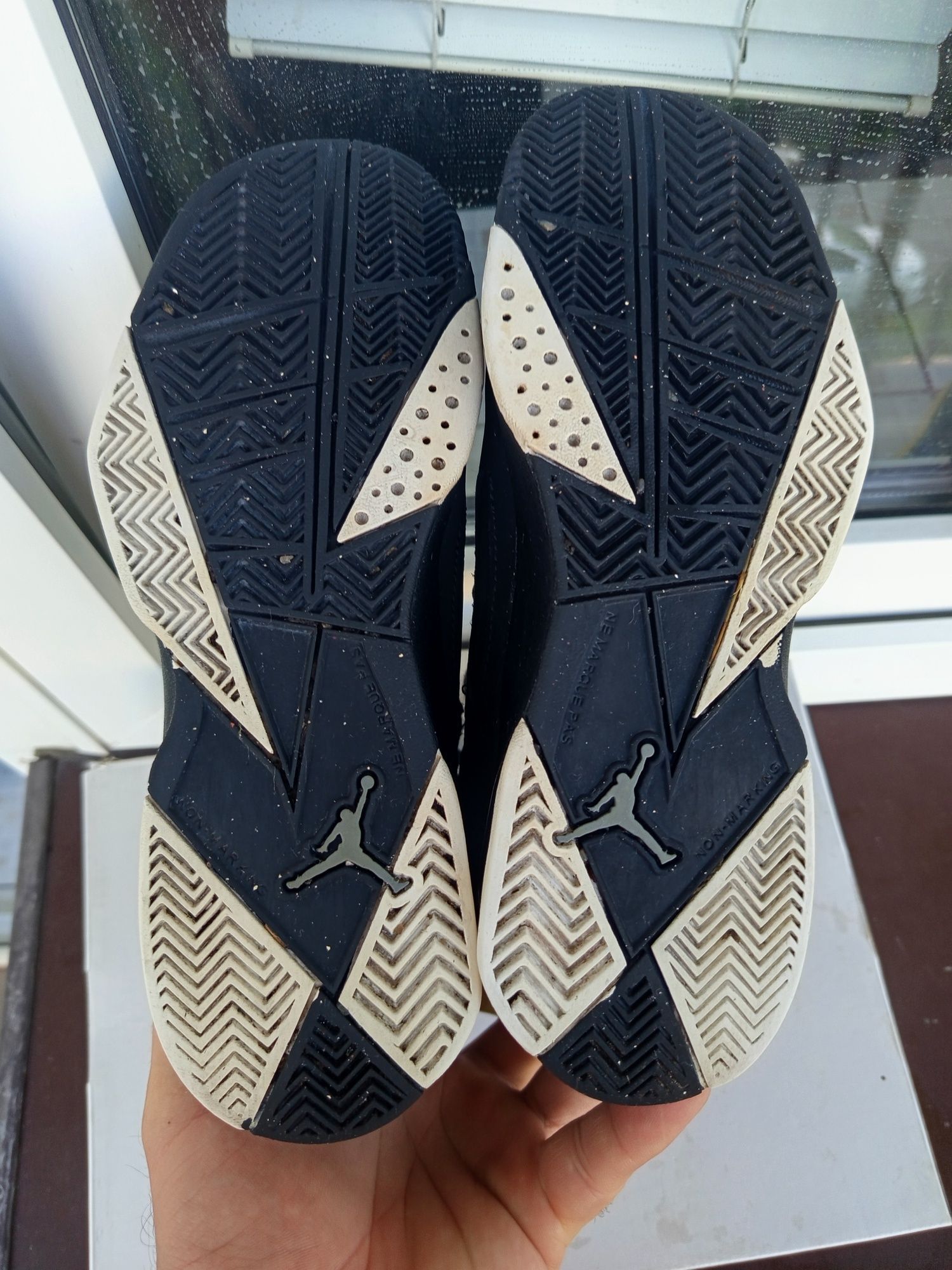 Air Jordan True Flight
