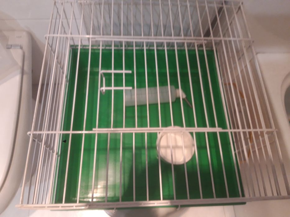 Gaiola de hamester baixa preço