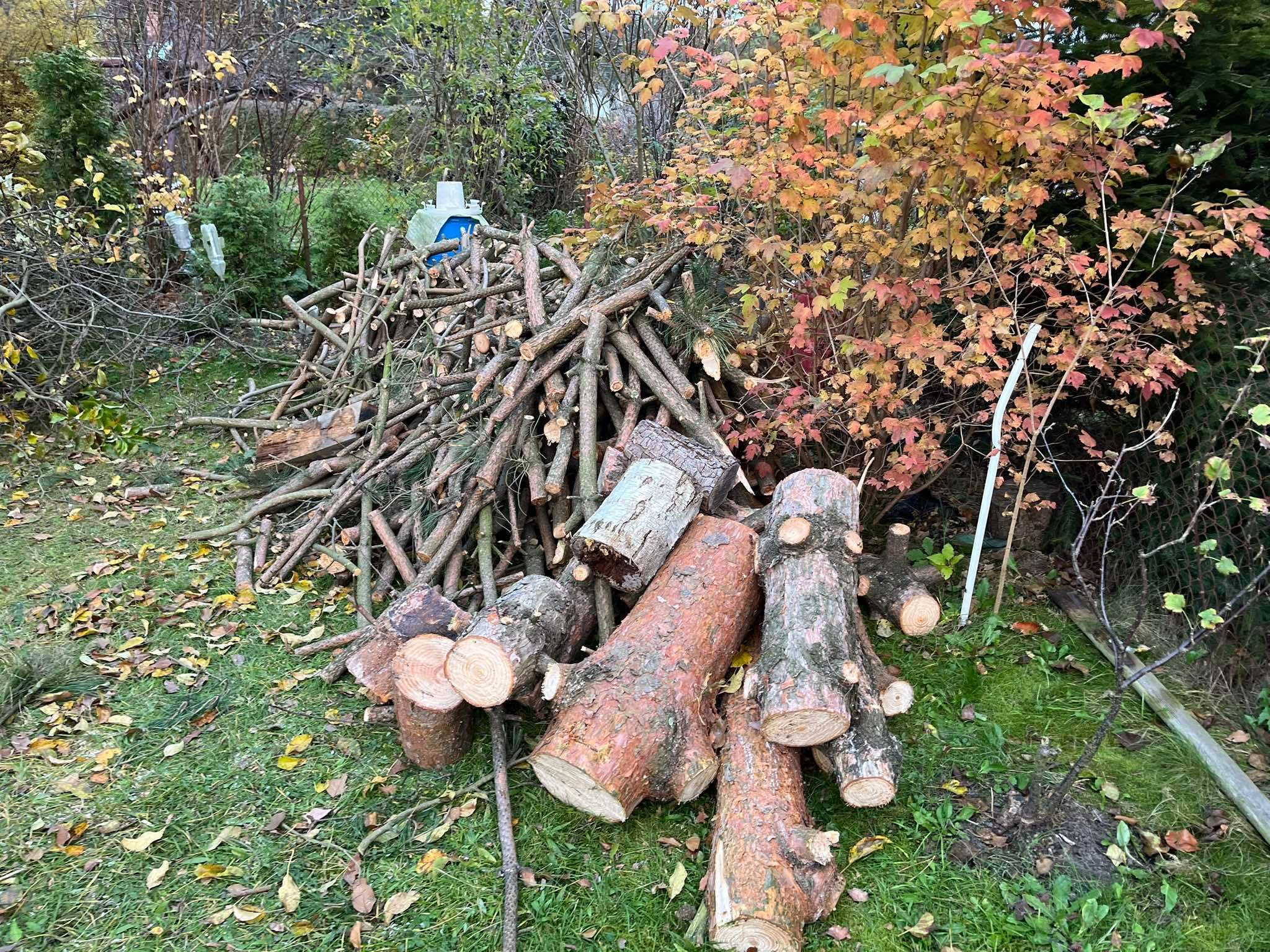 Sprzedam DREWNO sosnowe