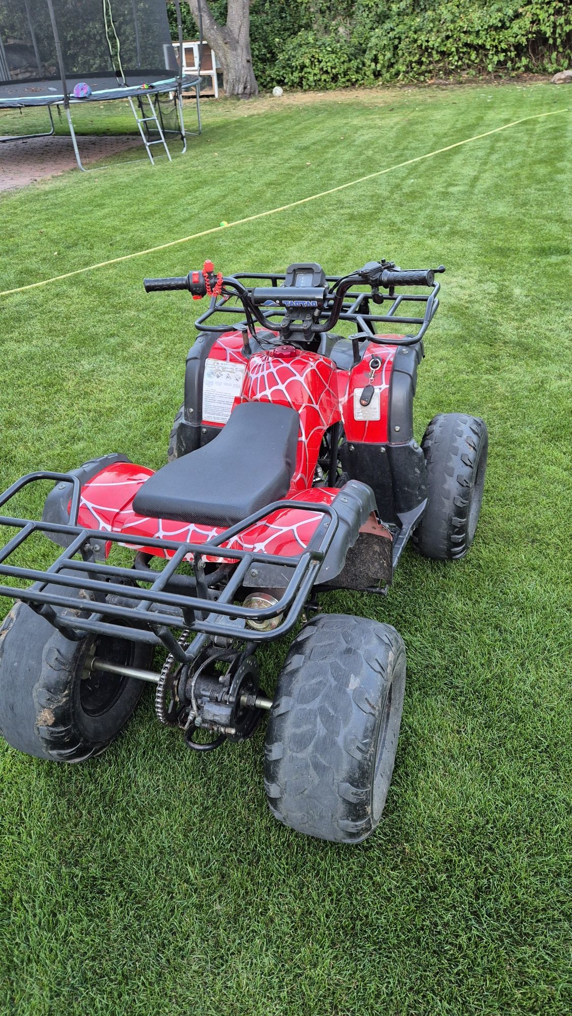 Quad 125 ccm 2017