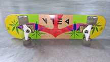 Skate em ótimo estado
