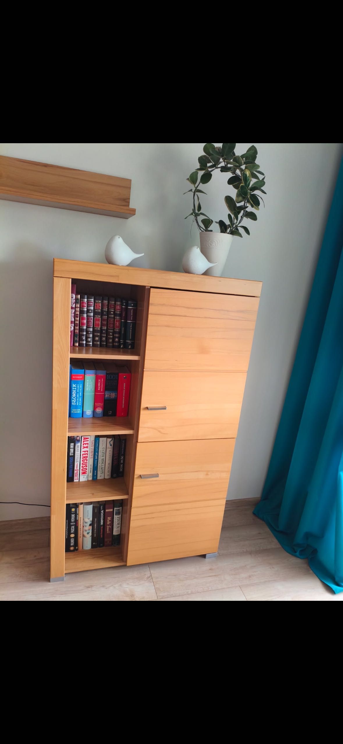 Meble do salonu , front buk , stan idealny… Polecam !!!