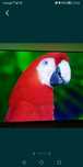50 Samsung smart tv z WiFi youtube Netflix itp.