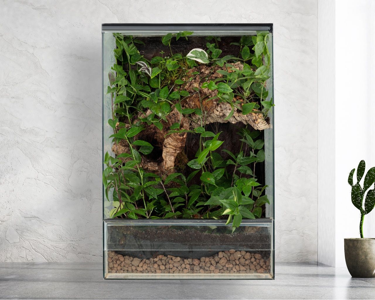 Terrarium paludarium las w szkle