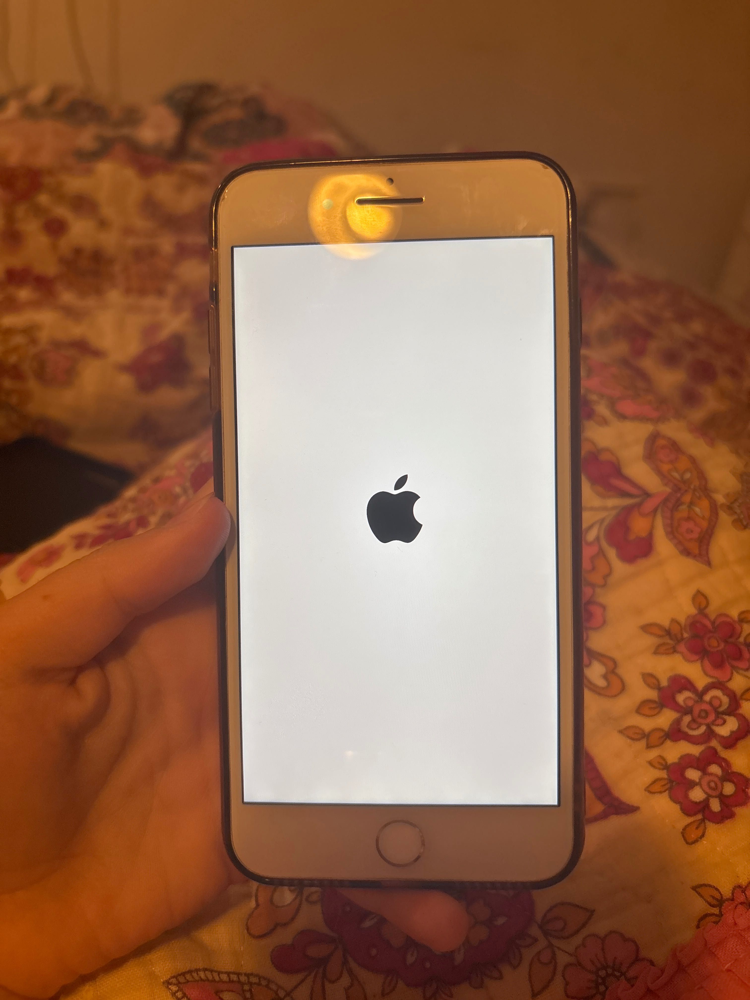 iPhone 8plus novo