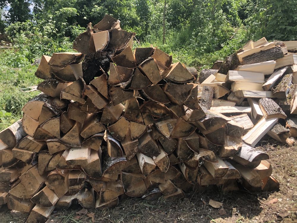 Продам дрова різних порід