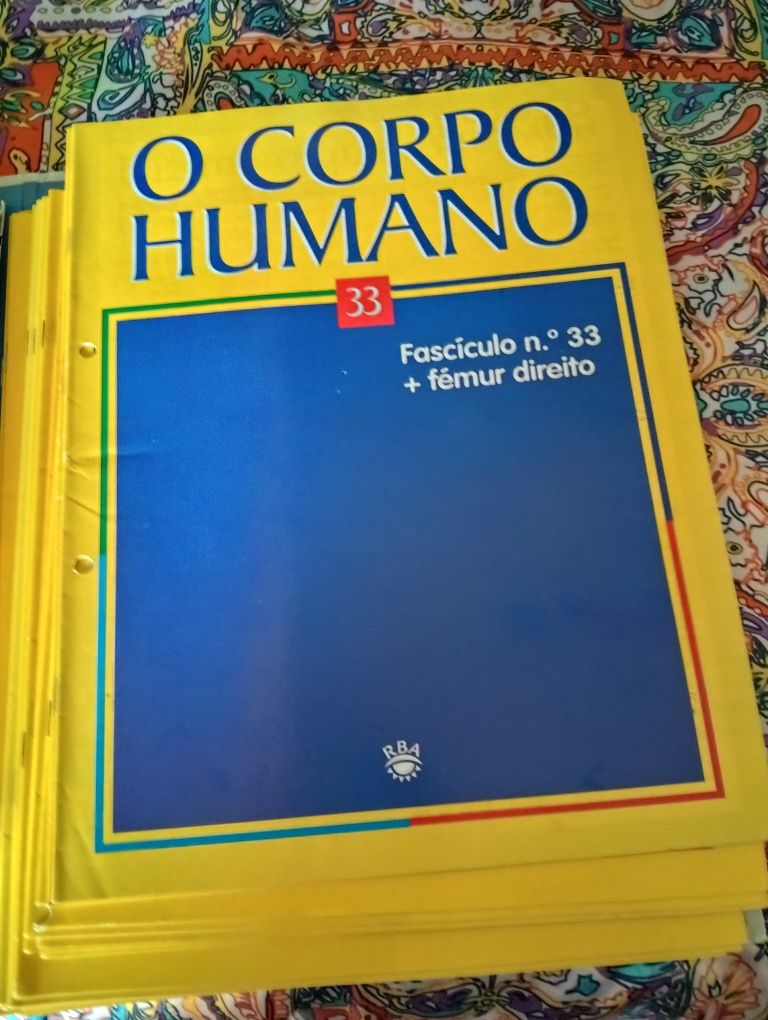 Conjunto de livros sobre o corpo humano.