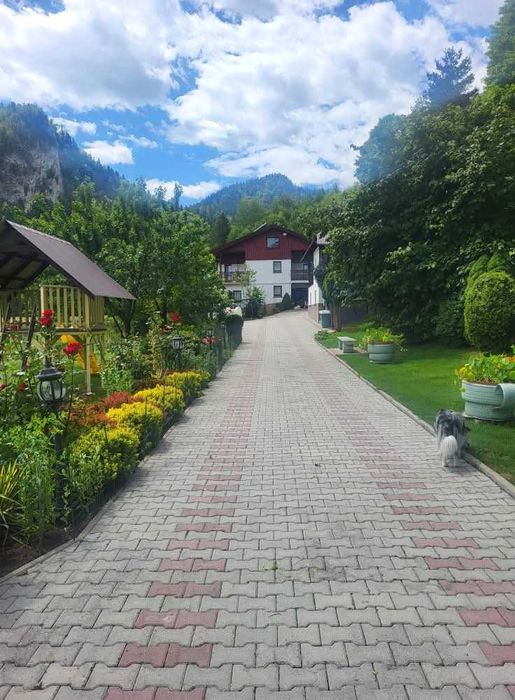 Noclegi w Krasie (Krościenko nad Dunajcem)