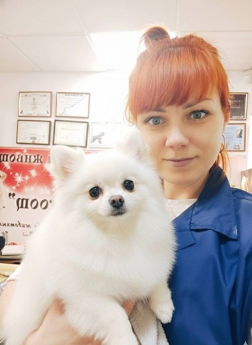 Грумінг | Професійний догляд для ваших улюбленців