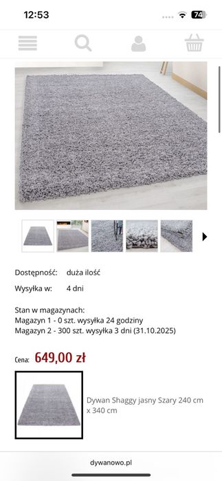 Dywan Shaggy szary