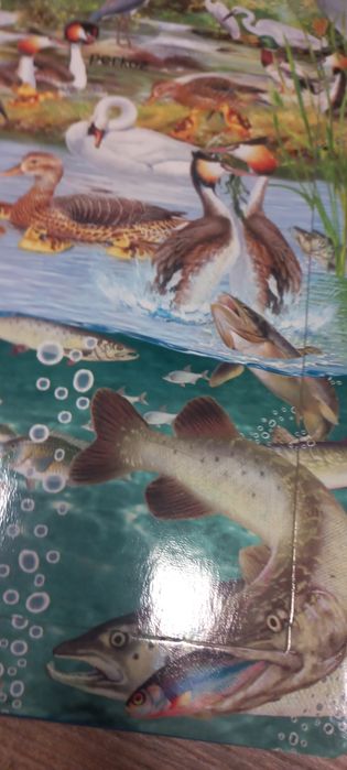 Książka Zwierzęta wodne z 8 układankami puzzle